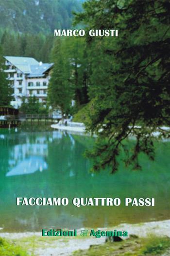 Facciamo quattro passi - Marco Giusti - Libro Agemina Edizioni 2017, I TIPI | Libraccio.it