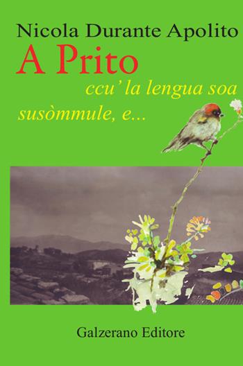 A Prito, ccu' la lengua soa susòmmule, e... - Nicola Apolito Durante - Libro Galzerano 2018 | Libraccio.it