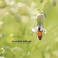 La società delle api. Immagini di un mondo staordinario. Ediz. italiana e inglese - Marina Gallandra - Libro Eidon Edizioni 2012, Daphne | Libraccio.it