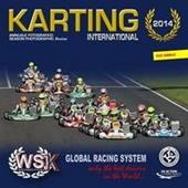 Karting internazionale 2014. I campionati WSK, CUC-FIA e Formula 4 Italia. Ediz. italiana e inglese
