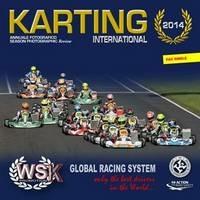 Karting internazionale 2014. I campionati WSK, CUC-FIA e Formula 4 Italia. Ediz. italiana e inglese - Fernando Morandi - Libro Roberto Vallardi 2015 | Libraccio.it