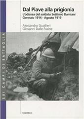 Dal Piave alla prigionia. L'odissea del soldato Settimio Damiani (gennaio 1914-agosto 1919)
