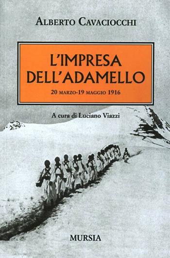 L' impresa dell'Adamello - Alberto Cavaciocchi - Libro Nordpress 2008, Sui campi di battaglia | Libraccio.it
