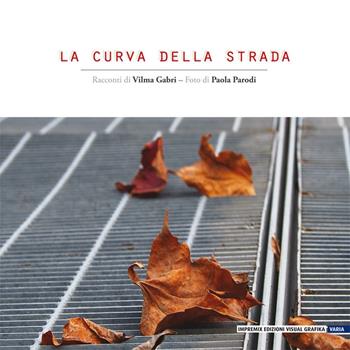 La curva della strada - Vilma Gabri - Libro Edizioni Visual Grafika 2017, Varia | Libraccio.it