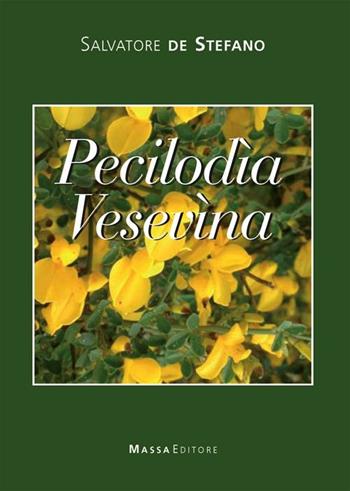 Pecilodìa vesevìna - Salvatore De Stefano - Libro Massa 2012, Frammenti di parole | Libraccio.it