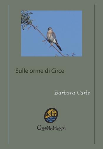Sulle orme di Circe. Incontri a Formia - Barbara Carle - Libro Ghenomena 2016 | Libraccio.it