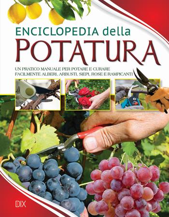 Enciclopedia della potatura - Richard Bird - Libro Dix 2016, Varia illustrata | Libraccio.it