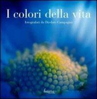 I colori della vita - Diodato Campagna - Libro Acco 2010 | Libraccio.it