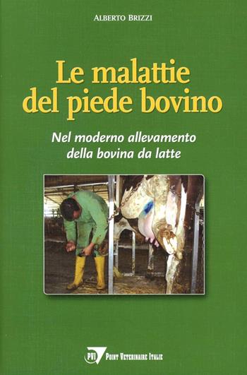 Le malattie del piede bovino. Nel moderno allevamento della bovina da latte - Alberto Brizzi - Libro Le Point Vétérinaire Italie 2008 | Libraccio.it