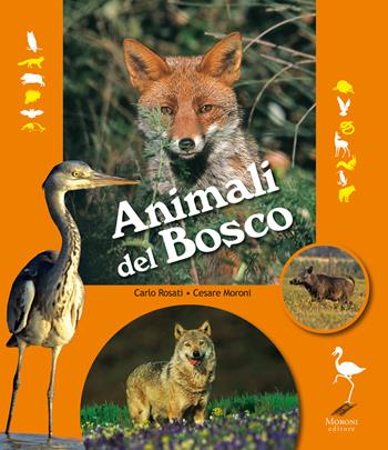 Animali del bosco - Carlo Rosati, Cesare Moroni - Libro Cesare Moroni Editore 2021, Mondo natura | Libraccio.it