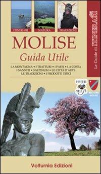 Molise in viaggio - Tobia Paolone - Libro Volturnia Edizioni 2022, Le guide di altri itinerari | Libraccio.it