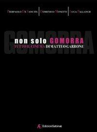 Non solo Gomorra. Tutto il cinema di Matteo Garrone - Pierpaolo De Sanctis, Domenico Monetti, Luca Pallanch - Libro Edizioni Sabinae 2008, Cinema | Libraccio.it