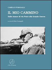 Il mio cammino. Dalle stanze di via Prato alla grande guerra - Camillo Fumagalli - Libro Il Filo di Arianna 2014, Il punto | Libraccio.it