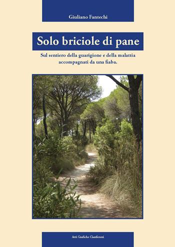 Solo briciole di pane. Sul sentiero della guarigione e della malattia accompagnati da una fiaba - Giuliano Fantechi - Libro AGC 2009, Camminando camminando | Libraccio.it