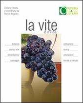 La vite e il vino