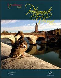 Protagonisti a Verona. Trentatrè storie veronesi - Emanuele Delmiglio - Libro Delmiglio Editore 2014, Excellence book | Libraccio.it