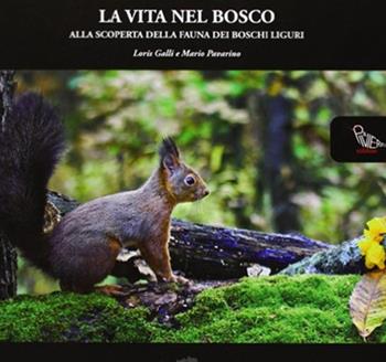 La vita nel bosco. Alla scoperta della fauna dei boschi liguri - Loris Galli, Mario Pavarino - Libro Il Piviere 2010, Dimensione Liguria | Libraccio.it