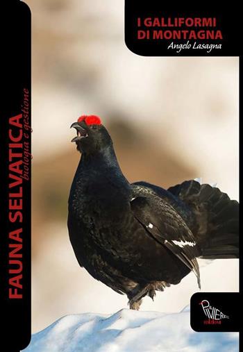 Galliformi di montagna - Angelo Lasagna - Libro Il Piviere 2024, Fauna selvatica. Biologia e gestione | Libraccio.it