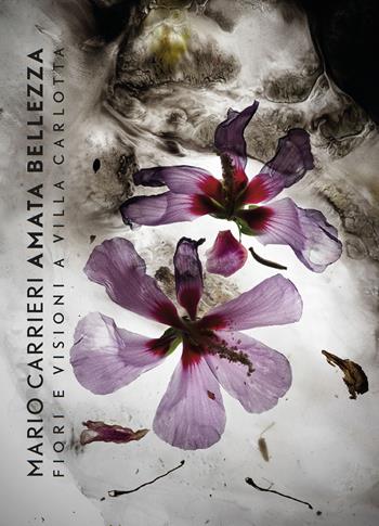 Mario Carrieri. Amata bellezza. Fiori e visioni a Villa Carlotta. Ediz. italiana e inglese - Paolo Vanoli, Giovanni Chiaramonte, M. Angela Previtera - Libro Nexo 2018 | Libraccio.it