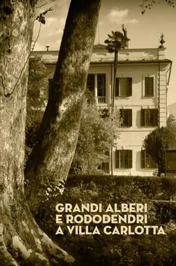 Grandi alberi e rododendri a Villa Carlotta  - Libro Nexo 2021 | Libraccio.it