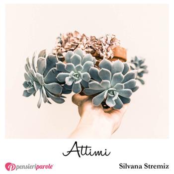 Attimi - Silvana Stremiz - Libro PensieriParole 2018, I migliori 100 | Libraccio.it