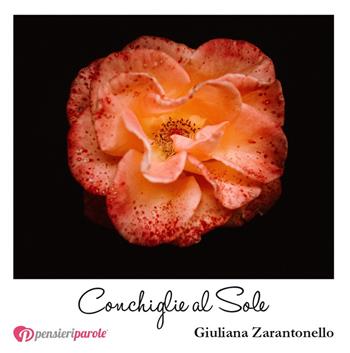 Conchiglie al sole - Giuliana Zarantonello - Libro PensieriParole 2018, I migliori 100 | Libraccio.it