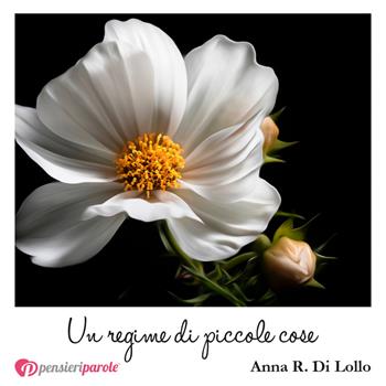 Un regime di piccole cose - Anna R. Di Lollo - Libro PensieriParole 2018, I migliori 100 | Libraccio.it