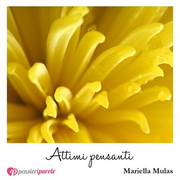 Attimi pensanti - Mariella Mulas - Libro PensieriParole 2018, I migliori 100 | Libraccio.it