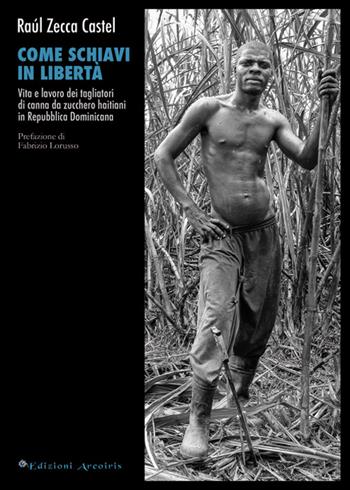 Come schiavi in libertà. Vita e lavoro dei tagliatori di canna da zucchero haitiani in Repubblica Dominicana - Raúl Zecca Castel - Libro Edizioni Arcoiris 2015, L' acuto | Libraccio.it