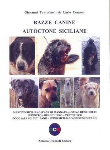 Razze canine autoctone siciliane. Mastino siciliano (Cane di Mannara). Spino degli Iblei. Spinotto. Branchiero. Vucciriscu. Dogo (Alano) Siciliano. Spino siciliano (Spinusu sicano) - Giovanni Tumminelli, Carlo Cesareo - Libro Crepaldi 2017, Zootecnica e zoognostica | Libraccio.it