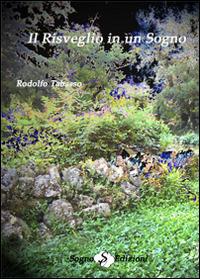 Il risveglio in un sogno - Rodolfo Tabasso - Libro Sogno Edizioni 2014 | Libraccio.it