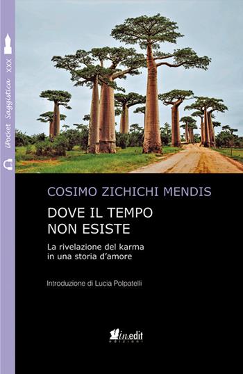 Dove il tempo non esiste. La rivelazione del karma in una storia d'amore. Nuova ediz. - Cosimo Zichichi Mendis - Libro in.edit 2019, iPocket | Libraccio.it