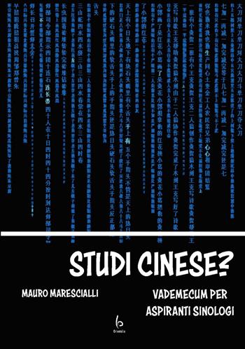 Studi cinese? Vademecum per aspiranti sinologi - Mauro Marescialli - Libro Libreria Editrice Orientalia 2021 | Libraccio.it