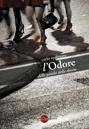 L'odore delle gambe delle donne - Carlo Molinaro - Libro Miraggi Edizioni 2016, Golem | Libraccio.it