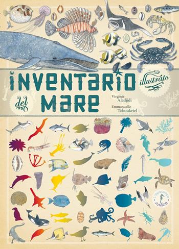 Inventario illustrato del mare - Emmanuelle Tchoukriel, Virginie Aladjidi - Libro L'Ippocampo Ragazzi 2017 | Libraccio.it