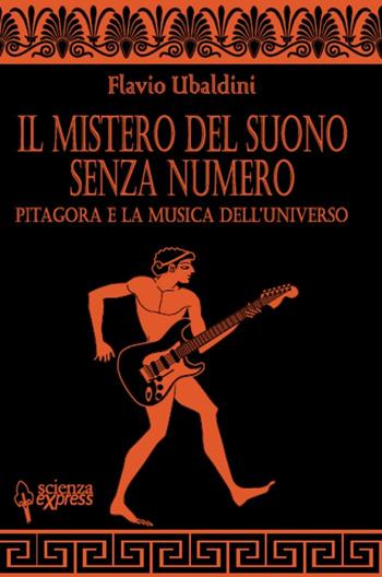 Il mistero del suono senza numero - Flavio Ubaldini - Libro Scienza Express 2017 | Libraccio.it