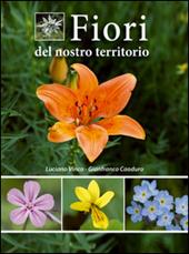 Fiori del nostro territorio