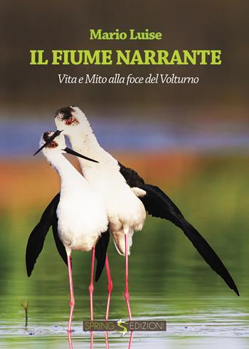 Il fiume narrante - Mario Luise - Libro Spring Edizioni 2017, Narrativa | Libraccio.it