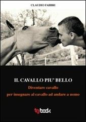 Il cavallo più bello