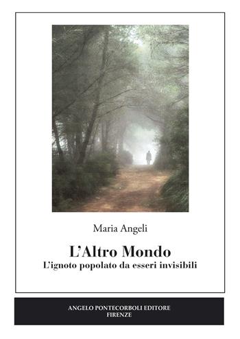 L' altro mondo. L'ignoto popolato da esseri invisibili - Maria Angeli - Libro Pontecorboli Editore 2016 | Libraccio.it