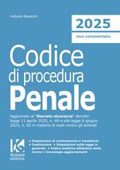 Codice di procedura penale 2025. Il nuovo codice di procedura penale aggiornato