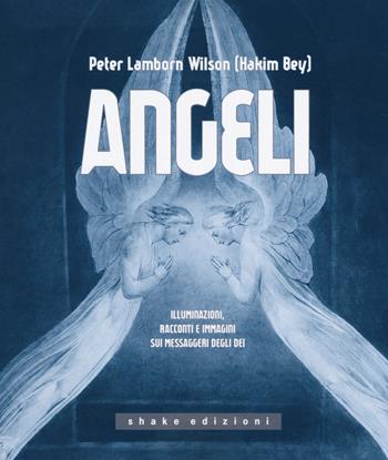 Angeli. Illuminazioni, racconti e immagini sui messaggeri - Peter L. Wilson - Libro ShaKe 2017, Varia | Libraccio.it