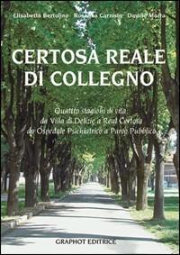 La reale certosa di Collegno - Elisabetta Bertolino, Rosanna Camisio, Davide Morra - Libro Graphot 2016 | Libraccio.it