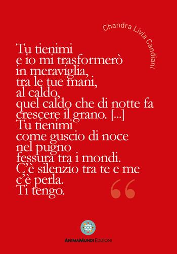 Tu tienimi e io mi trasformerò in meraviglia  - Libro AnimaMundi edizioni 2019, I quadernetti | Libraccio.it
