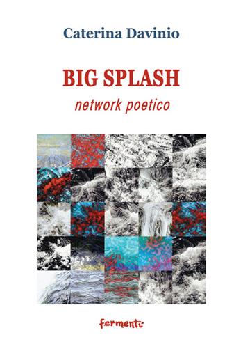 Big spalsh network poetico. Ediz. italiana e inglese - Caterina Davinio - Libro Fermenti 2015, Nuovi Fermenti. Poesia | Libraccio.it