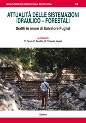 Attualità delle sistemazioni idraulico-forestali. Scritti in onore di Salvatore Puglisi