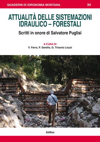 Attualità delle sistemazioni idraulico-forestali. Scritti in onore di Salvatore Puglisi  - Libro Edibios 2016, Quaderni di idronomia montana | Libraccio.it