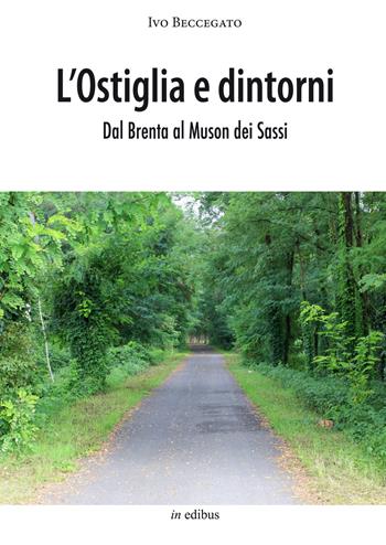Ostiglia e dintorni. Dal Brenta al Muson dei Sassi - Ivo Beccegato - Libro in edibus 2015, Le guide | Libraccio.it