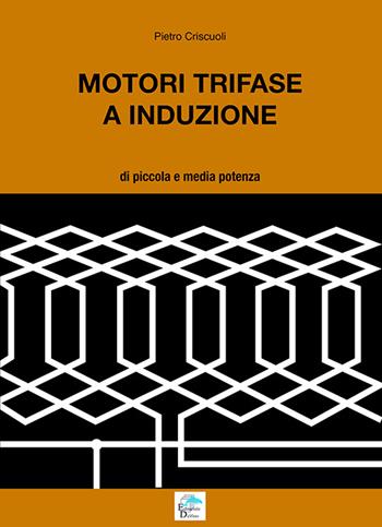 Motori trifase e induzione. Di piccola e media potenza - Pietro Criscuoli - Libro Editoriale Delfino 2016 | Libraccio.it