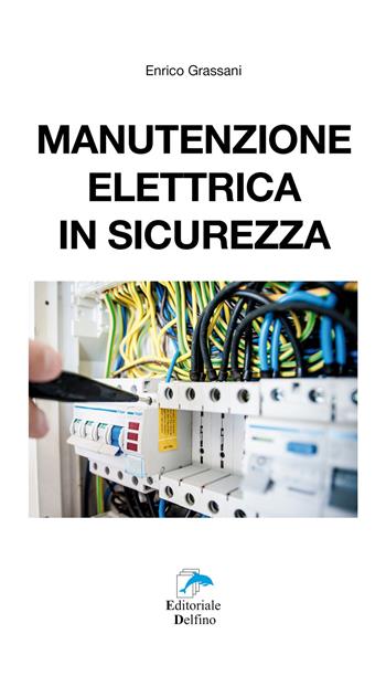 Manutenzione elettrica in sicurezza - Enrico Grassani - Libro Editoriale Delfino 2018 | Libraccio.it